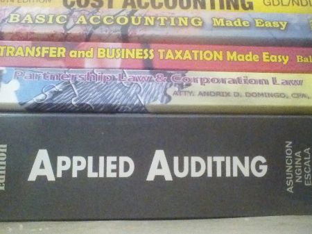 Solution Manual Practical Auditing By Empleo